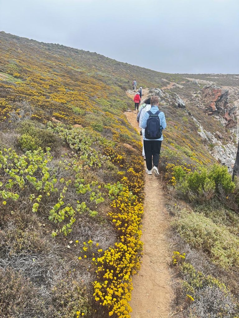 whatsapp image 2025 10 13 at 13.57.06